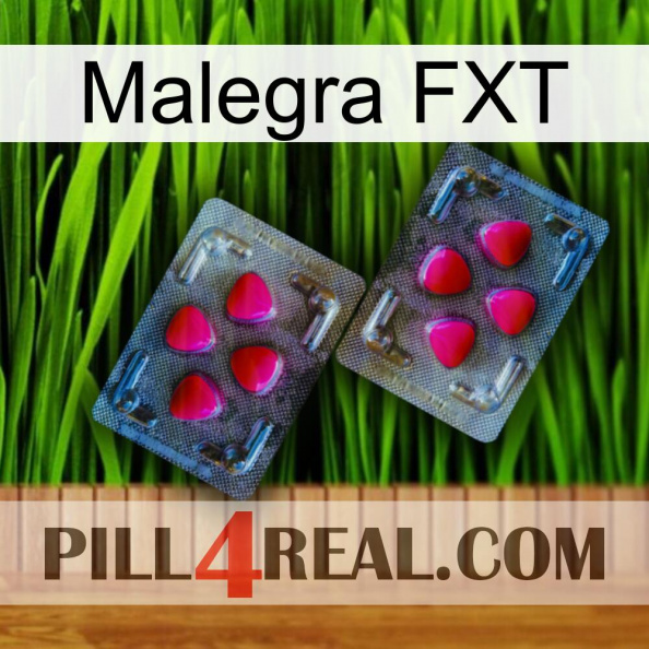 Malegra FXT 15.jpg